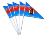 Promotional hand flag